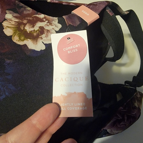 Lane Bryant Cacique Bra & Panties Set Lightly Lined w/underwire 50DD 26/28 - Picture 2 of 5